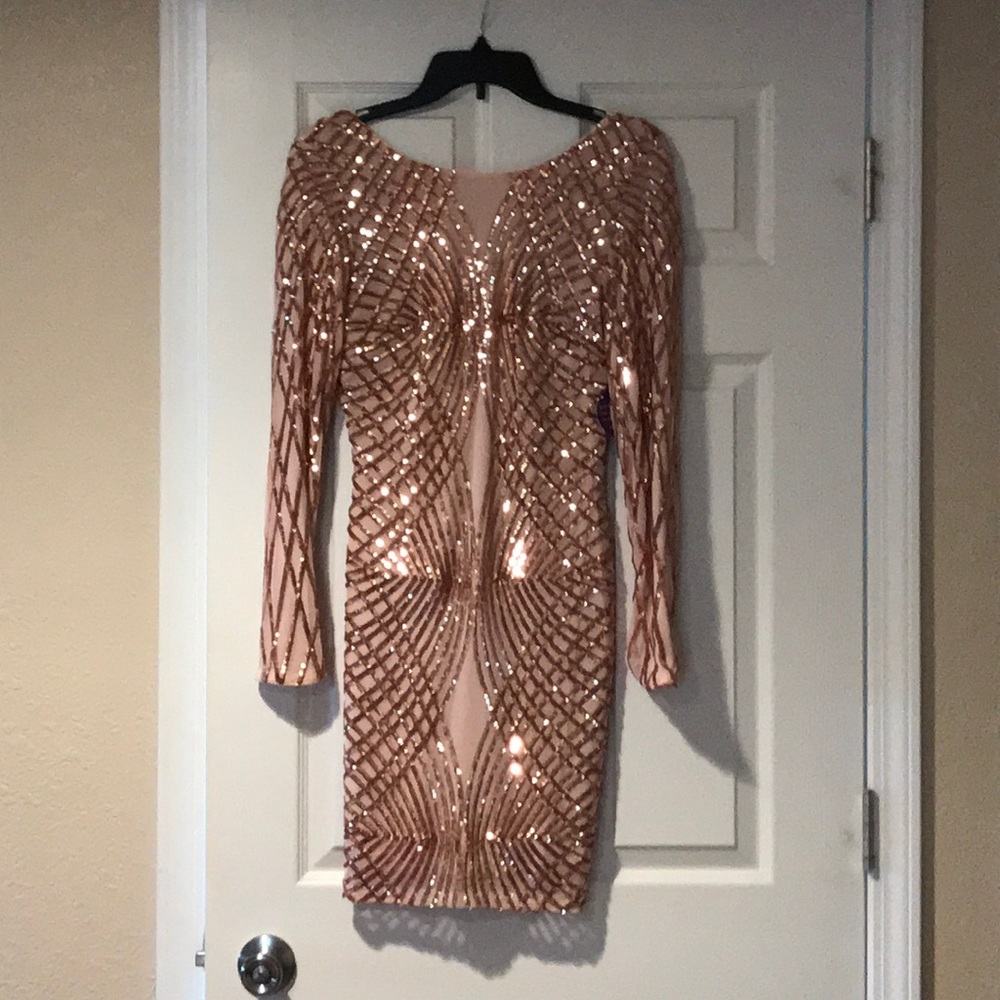 Brand New Windsor Rose Gold Party Dress